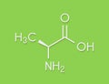 Alanine L-alanine, Ala, A amino acid molecule. Skeletal formula.