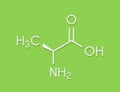 Alanine L-alanine, Ala, A amino acid molecule. Skeletal formula. Royalty Free Stock Photo