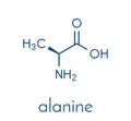 Alanine L-alanine, Ala, A amino acid molecule. Skeletal formula. Royalty Free Stock Photo