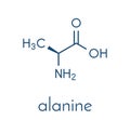 Alanine L-alanine, Ala, A amino acid molecule. Skeletal formula.