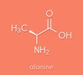 Alanine L-alanine, Ala, A amino acid molecule. Skeletal formula. Royalty Free Stock Photo
