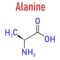Alanine or L-alanine, Ala, A, amino acid molecule. Skeletal formula. Royalty Free Stock Photo