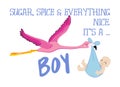 Sugar, Spice and everything nice. It`s a Boy. Royalty Free Stock Photo