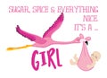 Sugar, Spice and everything nice. It`s a girl. - Funny flamingo stork illustration with baby girl. Typography illustration for new Royalty Free Stock Photo