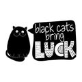 Black cats bring luck - funny quote design with grumpy black cat.