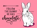 Follow the bunny he has Chocolate - Cute bunny saying.