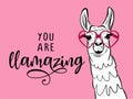 You are llamazing - funny vector quotes and llama drawing.