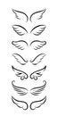 Lovely angel wings set - beautiful tattoo drawing