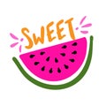 Sweet summer - Hand drawn watermelon illustration.