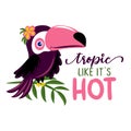 Tropic like it`s hot