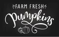 Farm fresh Pumpkins - Harvest fall Royalty Free Stock Photo