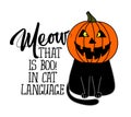 Meow, that is boo in cat language