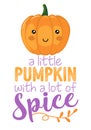 A little Pumpkin with a lot of spice Royalty Free Stock Photo