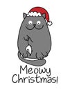Meowy Christmas  - Cute gray cat with white mouse Royalty Free Stock Photo