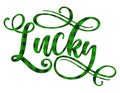 Lucky - funny St Patrick`s Day Royalty Free Stock Photo