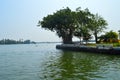 Beautiful scenery of backwaters Royalty Free Stock Photo