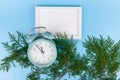 Alarm clock, blank white photo frame, cypress branches on blue background. Christmas concept Royalty Free Stock Photo