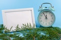 Alarm clock, blank white photo frame, cypress branches on blue background. Christmas concept Royalty Free Stock Photo