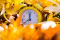 An alarm clock buried in autumn leaves. Five to twelve. Season change concept Royalty Free Stock Photo