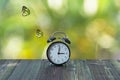 Alarm clock with butterfly on table