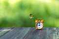 Alarm clock with butterfly on table