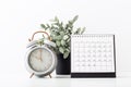 Alarm clock with calendar and plant on white background