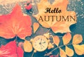 Alarm clock in colorful autumn leaves against a dark background with shallow depth of field. Daylight savings time concept. Alarm Royalty Free Stock Photo