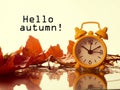 Alarm clock in colorful autumn leaves against a dark background with shallow depth of field. Daylight savings time concept. Alarm Royalty Free Stock Photo