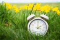 Alarm clock with daffodils flowers, switch to daylight saving time in spring, summer time changeover Royalty Free Stock Photo