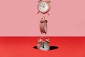 Alarm clock is falling trough the hole. Dual tone background. Creative time concept