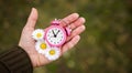 Alarm clock and flowers in a hand, daylight savings time or spring, summer banner Royalty Free Stock Photo