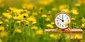 Alarm clock in the flowers in spring, daylight savings time banner Royalty Free Stock Photo