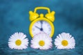 Alarm clock and flowers, spring forward, daylight savings time concept