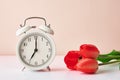 Alarm clock and flowers in vase on white background Royalty Free Stock Photo