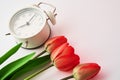 Alarm clock and flowers in vase on white background Royalty Free Stock Photo