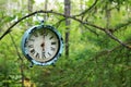 Alarm clock hanging from a tree branch in the forest Royalty Free Stock Photo