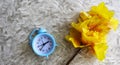 Alarm clock and maple branch on the sand. Fall Season Royalty Free Stock Photo