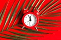 Alarm clock and palm leaf on bright red background. Royalty Free Stock Photo