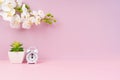 The Alarm clock on pink color wall with white color orchid decorate, empty room for background Royalty Free Stock Photo