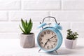 Alarm clock and potted succulents plants