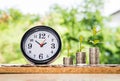 Step of coins stacks with tree growing on top, nature background, money, saving and investment or family planning concept, over su Royalty Free Stock Photo