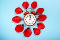 Alarm clock with tulip petals around. Flat lay style, over blue background. Daylight savings time concept. Spring Forward. Stylish Royalty Free Stock Photo