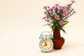 Alarm clock and a vase with flowers on white background Royalty Free Stock Photo
