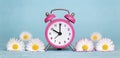 Alarm clock and white flowers on blue background, summer concept Royalty Free Stock Photo