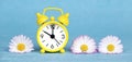 Alarm clock and white flowers on blue background. Web banner, summer concept Royalty Free Stock Photo