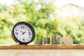 Step of coins stacks with tree growing on top, nature background, money, saving and investment or family planning concept, over su Royalty Free Stock Photo