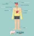 Gallbladder cancer infographic in flat design. Gallbladder cancer disease symptom icon set with human body, skeleton and organ.
