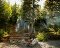 alaska beautiful camping spot wilderness summer hammock