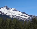 Snow capped mountains tower over pine trees Royalty Free Stock Photo