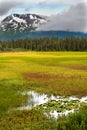 Alaska Beauty, Marsh and Mountains Royalty Free Stock Photo